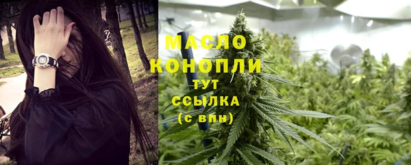 тгк Сатка