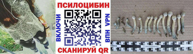 Псилоцибиновые грибы GOLDEN TEACHER  кракен tor  Отрадное  где можно купить наркотик 